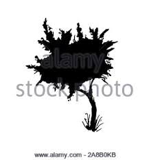 Covid, green pass obbligatorio per entrare in una regione. Un Disegno Stilizzato Di Un Albero In Bianco E Nero Di Design Illustrazione Immagine E Vettoriale Alamy