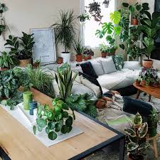 You can either chose to be a half tarzan or you can jump with both feet and go all jungle vibe! Pin On Plants Houseplants In Room Settings