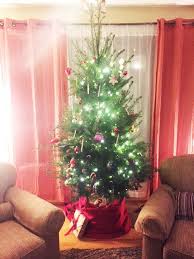 Noble fir (abies procera rehd) grown mainly in oregon, the noble fir is one of the most popular live christmas trees for sale on the west coast, accounting for 25 to 30 percent of sales (around 7 million trees). Potted Christmas Tree Brands Potted Christmas Tree
