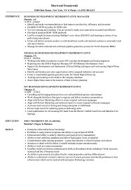 representative business development