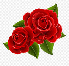 Find the best rose flower wallpapers on getwallpapers. Picture Black And White Download Beauty Beast Rose Beautiful Rose Flowers Clipart 563045 Pinclipart