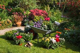 Was sie im september ernten können. Gartenarbeit Im September Pineca De