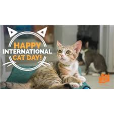 Many countries have strict regulations regarding international pet travel. International Cat Day 2019