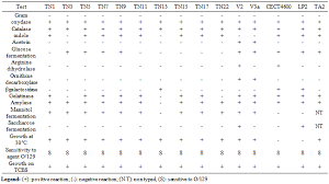 Biochemical Test Eneterobacteria College Paper Example