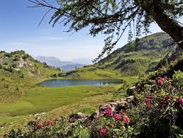 Preise für ihren ski urlaub in österreich. Sommerpauschalen Schutzenhof Grossarl