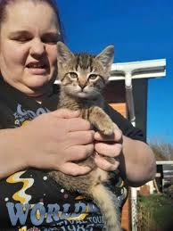 Animals 'robbed' of 'better life'