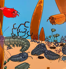 Image result for Tragia brevipes-benthamii-okanyu