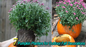 The following table indicates when to start seeds relative to your fall frost date. 7 Pumpkin Planter Ideas For Outdoor Fall Decorations Digging In The Garden