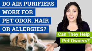 Because these filter will almost last permanently, these air purifiers are the most reasonable things to buy. Do Air Purifiers Work For Pet Odor Hair Allergies Can They Help Pet Owners Youtube