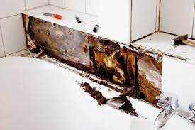 Because vinegar is a natural deodorizer, once it dries the bathroom will not just look better, it will smell better too. Why Is There Mold On My Bathroom A J Property Restoration Dk A J Property Restoration