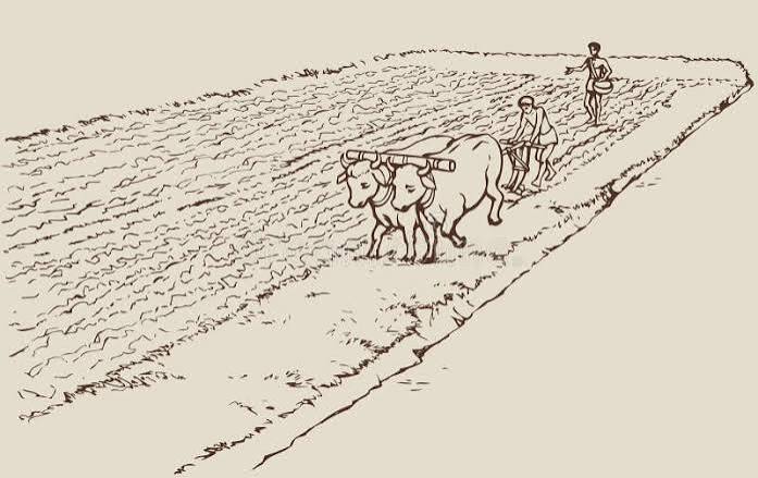 
India Was Supposed To Shine. Twenty Two Years Later, What Does The Scorecard Actually Say? - Inventiva
