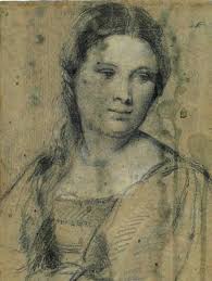 Museum of Art and Archaeology 2015-2016