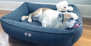 Check spelling or type a new query. 10 Best Dog Bed For English Bulldog In 2020 Compared And Reviewed Cool Dog Beds Dog Bed English Bulldog Dog