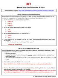 Guide the bird to the moths. Natural Selection Simulation At Phet Worksheet Answers Promotiontablecovers