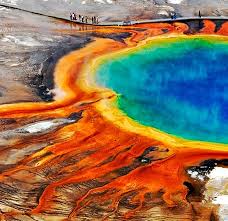 Pin On Amazing Nature