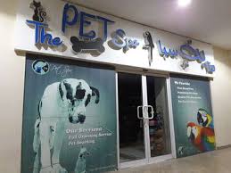 We did not find results for: The Pet Spa Pet Grooming Centres In Al Barsha 1 Dubai