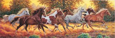 Free shipping on orders $75+. Clementoni Panoramic Horses Puzzle 1000 Piece Buy Online In Turkey At Desertcart 2717766