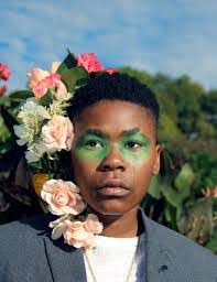 Robyn Chung's Instagram, Twitter & Facebook