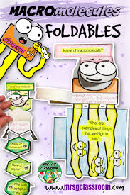 Biochemistry Tests For Food Macromolecules Quizlet Macromolecules Foldables Macromolecules Interactive Science Notebook Foldables