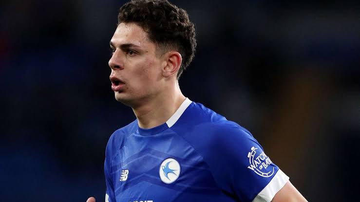 Worrying scenes as medical emergency sees Cardiff star Yousef Salech  frantically jump into stands & leads to Championship clash against Stoke  being suspended for five minutes | Goal.com