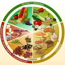 Los cereales constituyen elementos esenciales de la dieta de los seres humanos puesto que. El Plato Del Buen Comer Y Por Que Sigue Siendo Relevante
