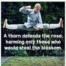Pin On Wing Chun