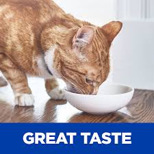 Hill's prescription diet wet cat food, veterinary care, k/d kidney care. Hill S Prescription Diet C D Multicare Urinary Care Vegetable Tuna Rice Stew Canned Cat Food 2 9 Oz Case Of 24 Chewy Com