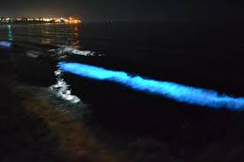 San Diego And It S Red Tide Landmarks San Diego Northern Lights