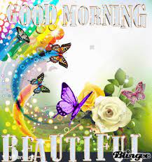 We did not find results for: Good Morning Beautiful Good Morning Beautiful Good Morning Beautiful Gif Good Morning Beautiful Pictures