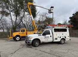 Image result for Contractors Yellow 1964 Truck