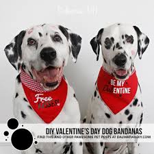 Images & pictures of dogs valentine's day wallpaper download 16 photos. Diy Valentine S Day Dog Bandanas Dalmatian Diy