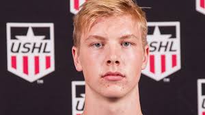 Max Gildon 2017 NHL Draft Profile