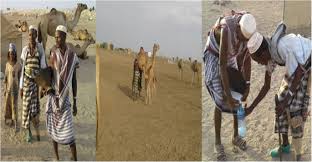 In the usa it is one of the lowest paid categories of employees among the. Camel Milk Production And Marketing Pastoral Areas Of Afar Ethiopia Pastoralism Full Text