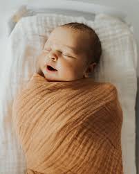 Montana Wedding Photog