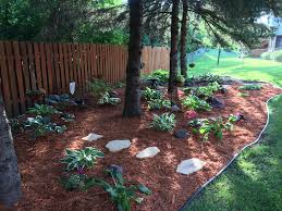 Landscape Perennial Ideas For Under Pine Trees Landscaping Around Trees Landscaping Trees Backyard Landscaping