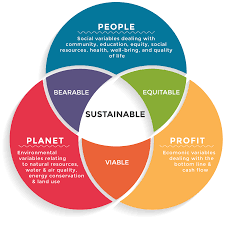 Triple Bottom Line Triple Bottom Line Sustainability Sustainable Business