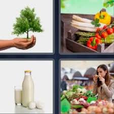 Bienvenidos a mi página web. 4 Fotos 1 Palabra Verduras Arbol Pequeno En Las Manos Actualizado