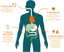 Influence Of Diet On The Gut Microbiome And Implications For Human Health Journal Of Translational Medicine Full T Microbiome Gut Microbiome Gut Microbiota