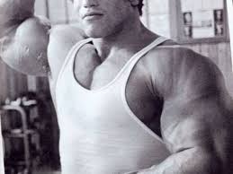 We did not find results for: Arnold Schwarzenegger S Workout Routine For The 1975 Mr Olympia Caloriebee