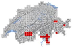 Der ziegenmelker name gehe auf aristoteles zurück. Einheimische Waldvogel Der Ziegenmelker Caprimulgus Europaeus Waldwissen Net