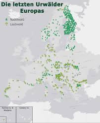 Europa wasserwege, flüsse und kanäle. Where Are Europe S Last Primary Forests Technology Park Berlin Adlershof