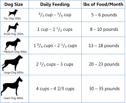 Lamb Brown Rice Lake Erie Pet Food Co