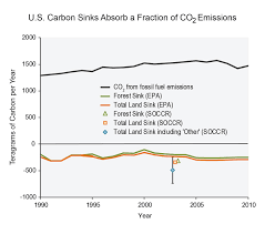biogeochemistry, climate, and