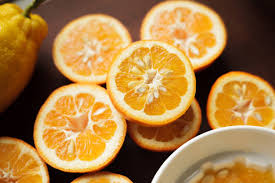 Image result for Citrus × aurantium