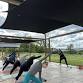 Yoga — Lavender Bluff Farm