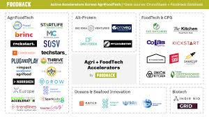 That set it somewhat apart in the world of ghost kitchen facilities. Most Active Foodtech Accelerators A Look Into 40 Accelerators And Their Alumni Foodhack