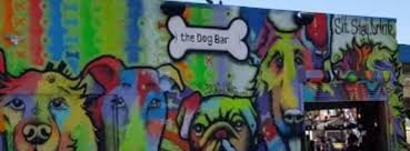 Dogs, and their people, are drooling over the healthiest, most decadent treats in st. Dog Friendly Bars In St Petersburg And Clearwater