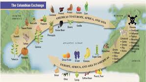 In 1492, christopher columbus convinced. Columbian Exchange Jaxon Tarver Eli Strote Period 3