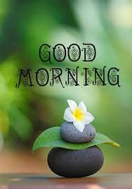Good Morning Meme Nature Free Images Wallpaper