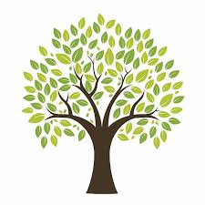 Tu bishvat coloring page vector. Tu B Shevat Jkidphilly